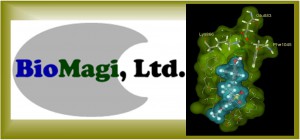 biomagi---logo.jpg